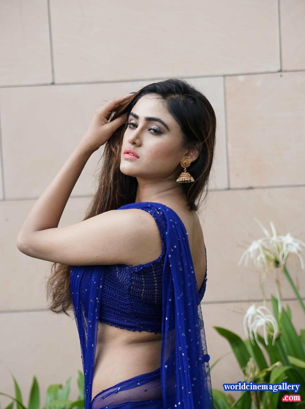 Sony Charishta Hot Stills In Blue Saree Pics