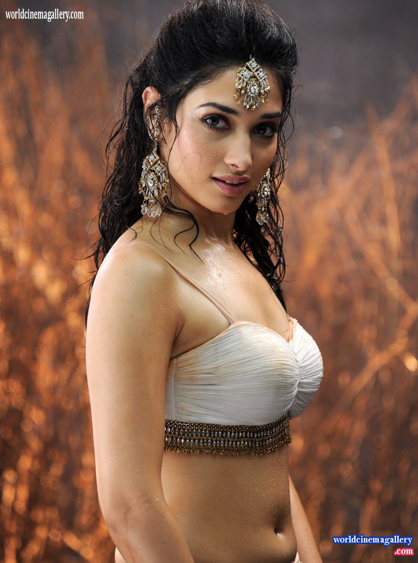 Tamanna Bhatia Sexy Stills At Badrinath Movie