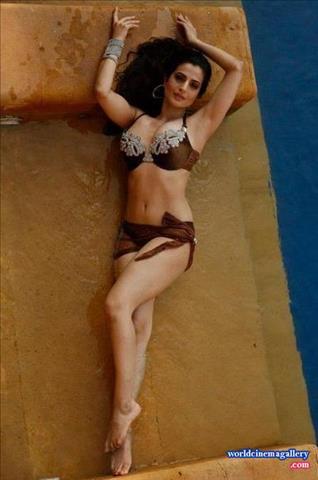 Ameesha Patel Hot Bikini Stills in Maxim