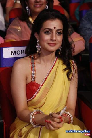 Ameesha patel Hot Stills In Yellow Saree