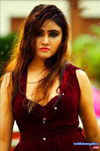 Sony Charishta latest Hot Photoshoot Stills