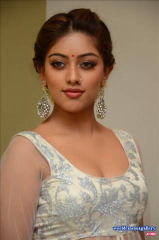 Anu Emmanuel at Kittu Unnadu Jagratha Gummadikaya movie Press meet