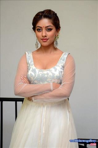 Anu Emmanuel at Kittu Unnadu Jagratha Gummadikaya movie Press meet