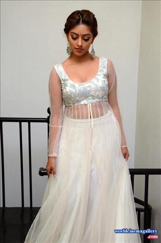 Anu Emmanuel at Kittu Unnadu Jagratha Gummadikaya movie Press meet