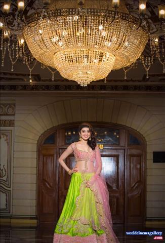 Pranitha latest stills in saree