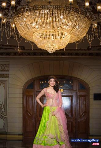 Pranitha latest stills in saree