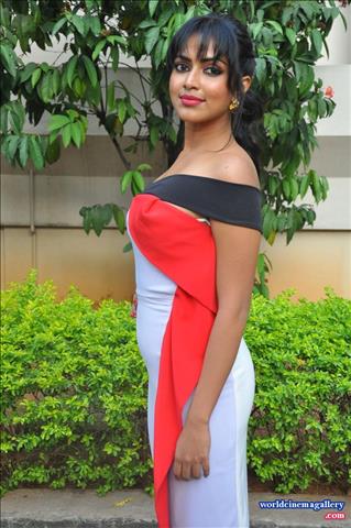 Amala paul at Thiruttu Payale 2 press meet