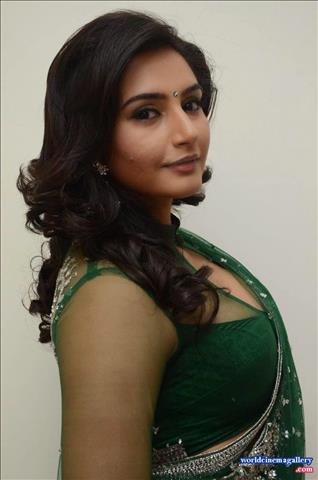 Kannada Actress Ragini Dwivedi In Saree