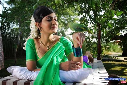 Neelam Upadhyaya Latest Hot Stills in Green Saree