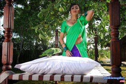 Neelam Upadhyaya Latest Hot Stills in Green Saree