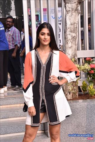 Pooja Hegde latest stills