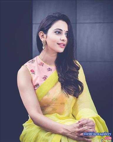 Rakul Preet Singh hot saree stills from Theeran Adhigaram Ondru