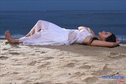 Sana Khan Hot stills in Nadigayin Diary Movie