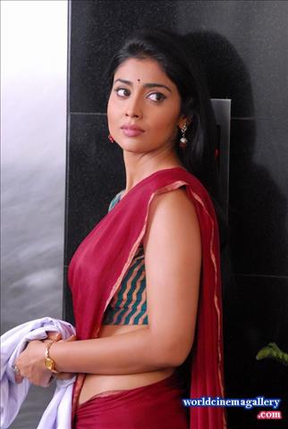 Shriya Saran Hot Saree Stills in Nuvva Nena movie