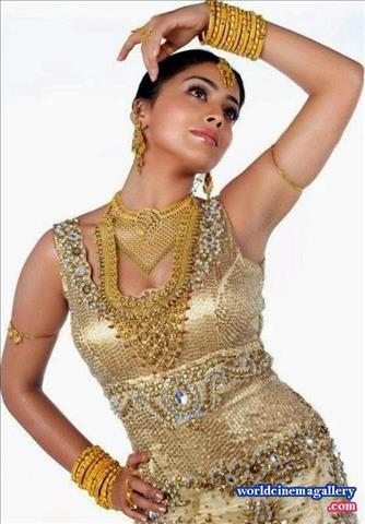 Shriya Saran Jewellery ads Photoshoot