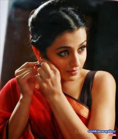 Trisha in Hot Saree Stills