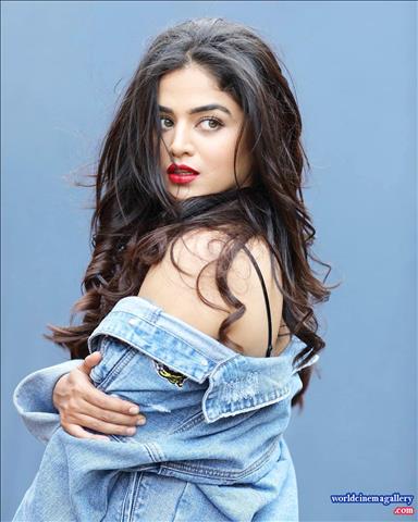 Wamiqa Gabbi Hot Saree Stills