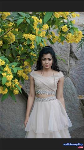 Rashmika Mandanna Stills at Chalo movie Pre Release Event