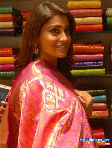 Shriya Latest Stills in VRK Silks Saree