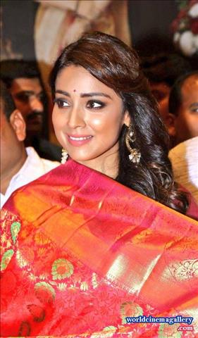 Shriya Saran in VRK Silks Saree Stills