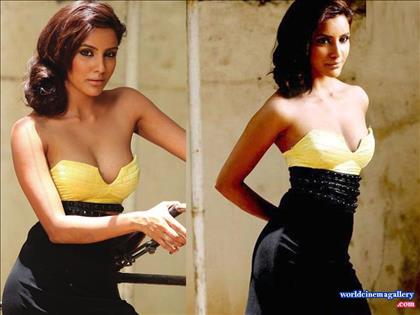 Priya Anand Hot Stills