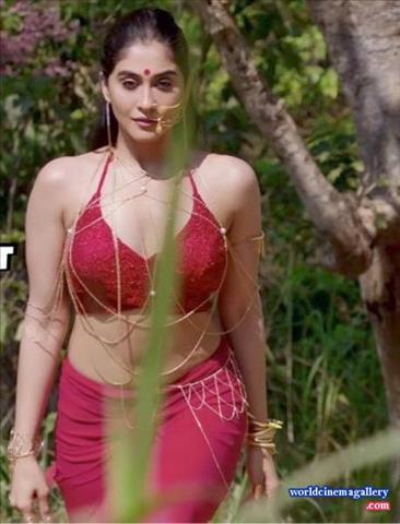Regina Cassandra Nakshatram Movie Hot Stills