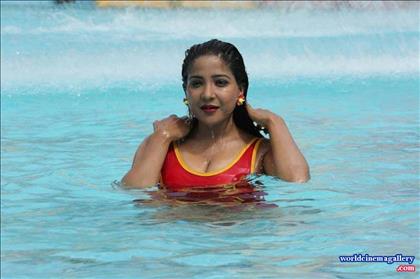 Sakshi Agarwal Hot Bikini Stills