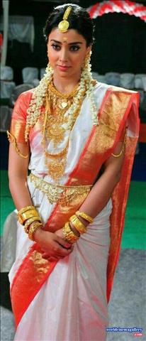 Actress Homely Look in Saree