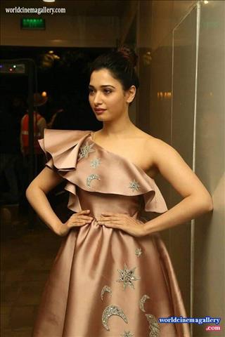 Tamannaah Bhatia Stills at F2 Fun and Frustration Movie Pre Release Event