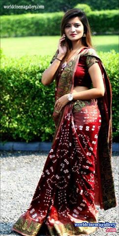 Actress in Saree 
