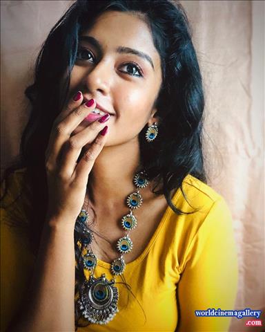 Roshni haripriyan bharathi kannamma Serial Actress