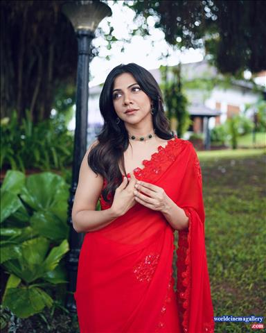 Madonna Sebastian